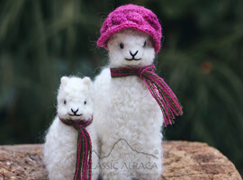 Needle Felted My Mother Baby Alpaca Needle Felted My Mother Baby Alpaca