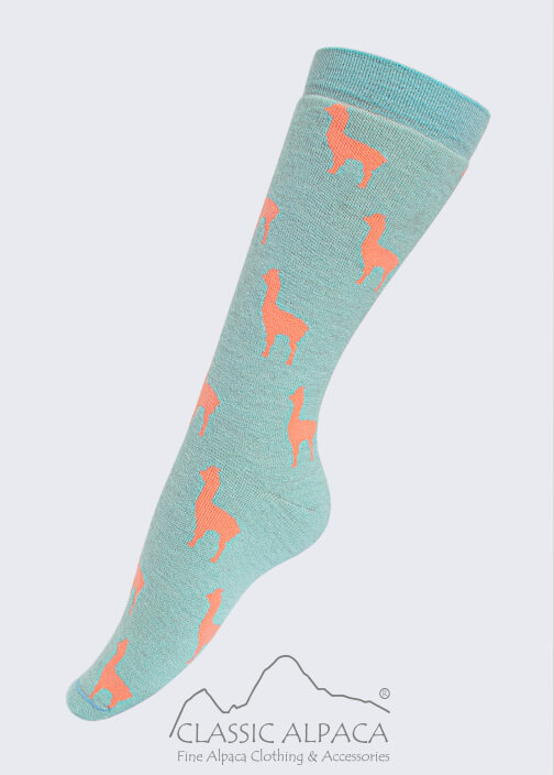 Arctic Blue-Melon