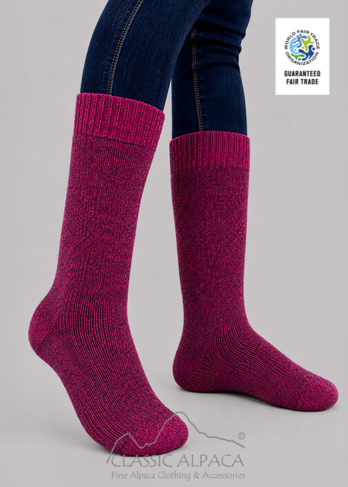 Fucsia