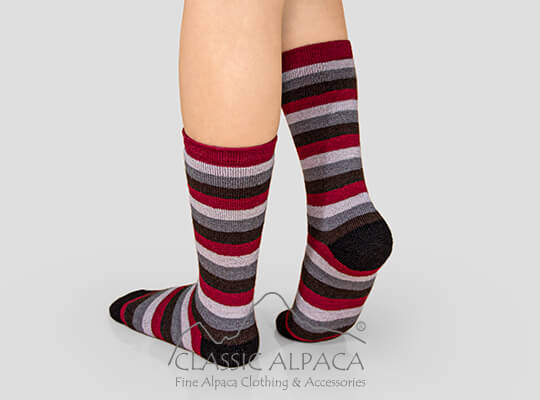 Premium Alpaca Colors Striped Socks