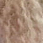 Taupe Mlge. Hallie Lace Baby Alpaca Gloves