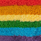 Cute Needle Felted Baby Alpaca